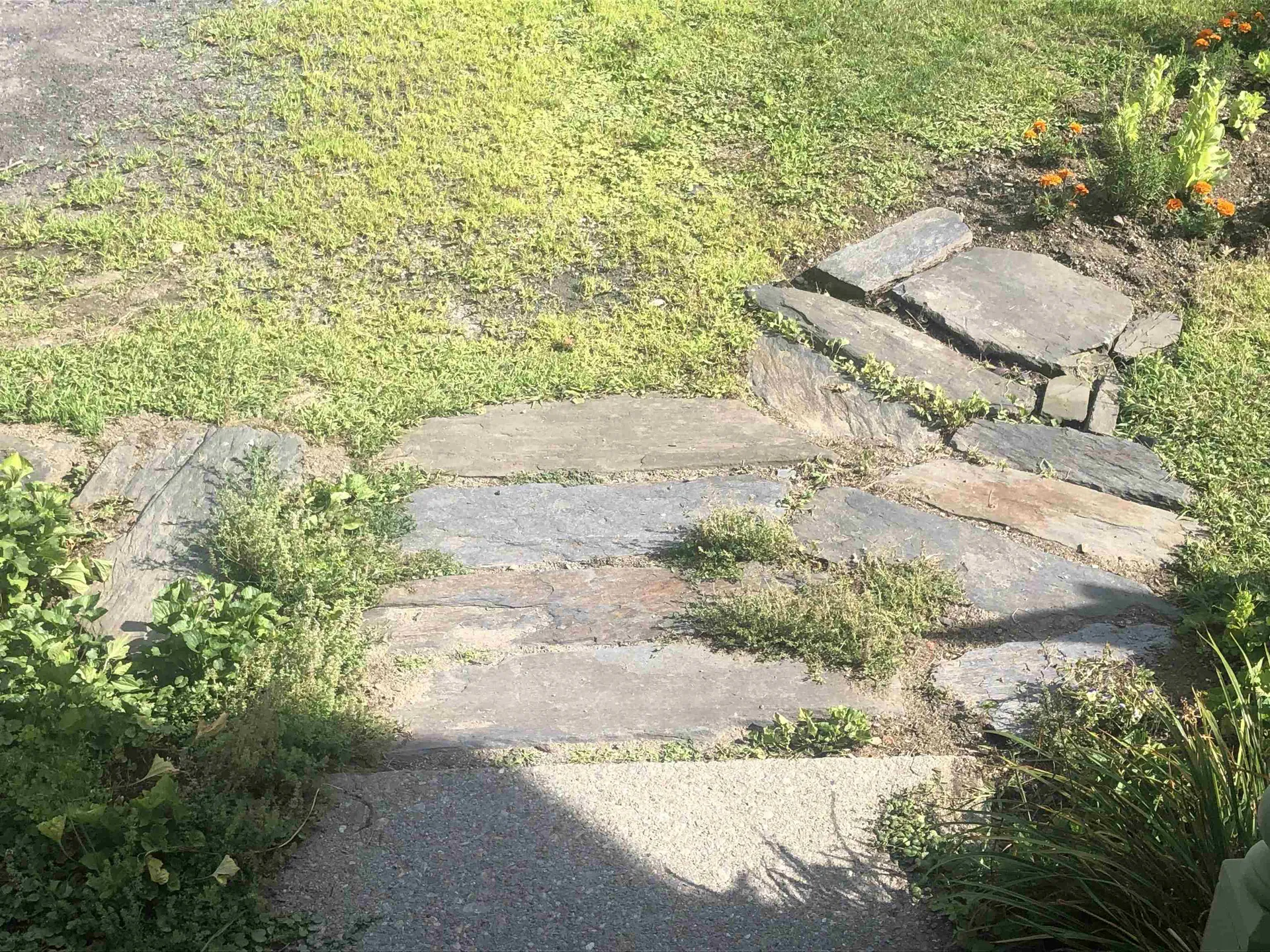 3 Prospect Avenue Randolph VT 05060