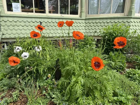 3 Prospect Avenue Randolph VT 05060