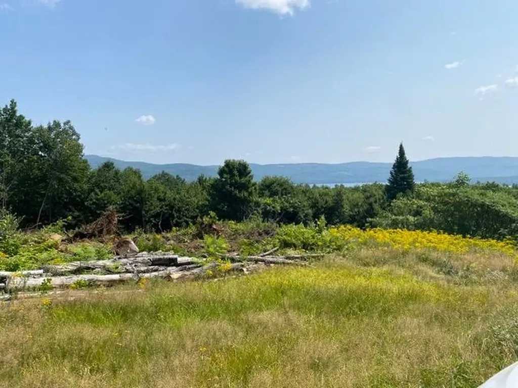 Lot 2 Panorama Lane Hebron NH 03241