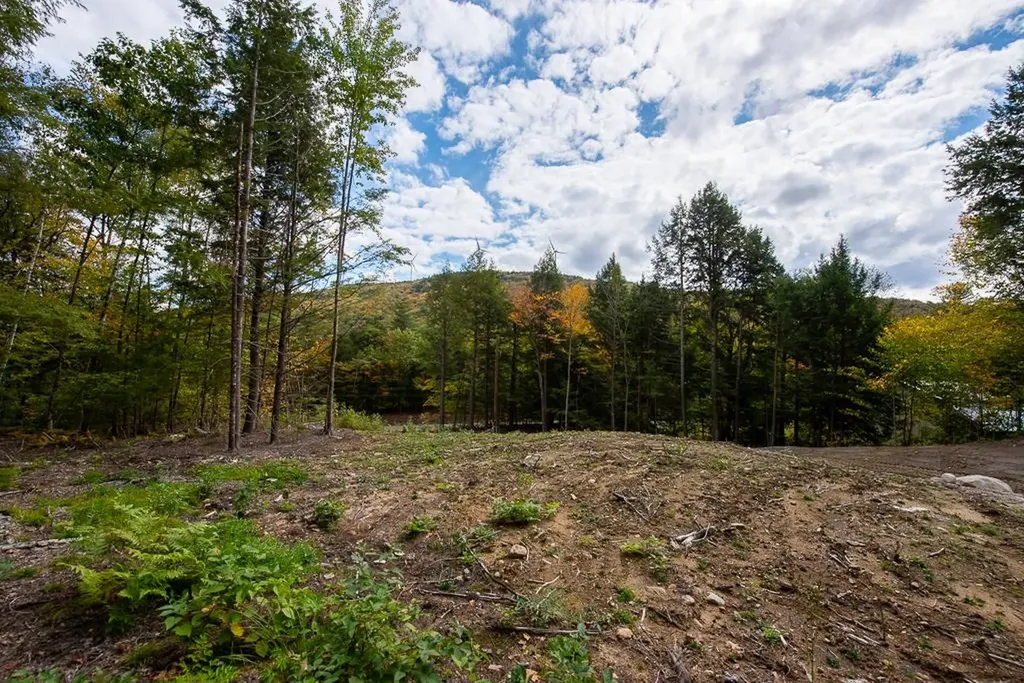 15-12-10-04 Jacob Hall Farm Road Rumney NH 03266