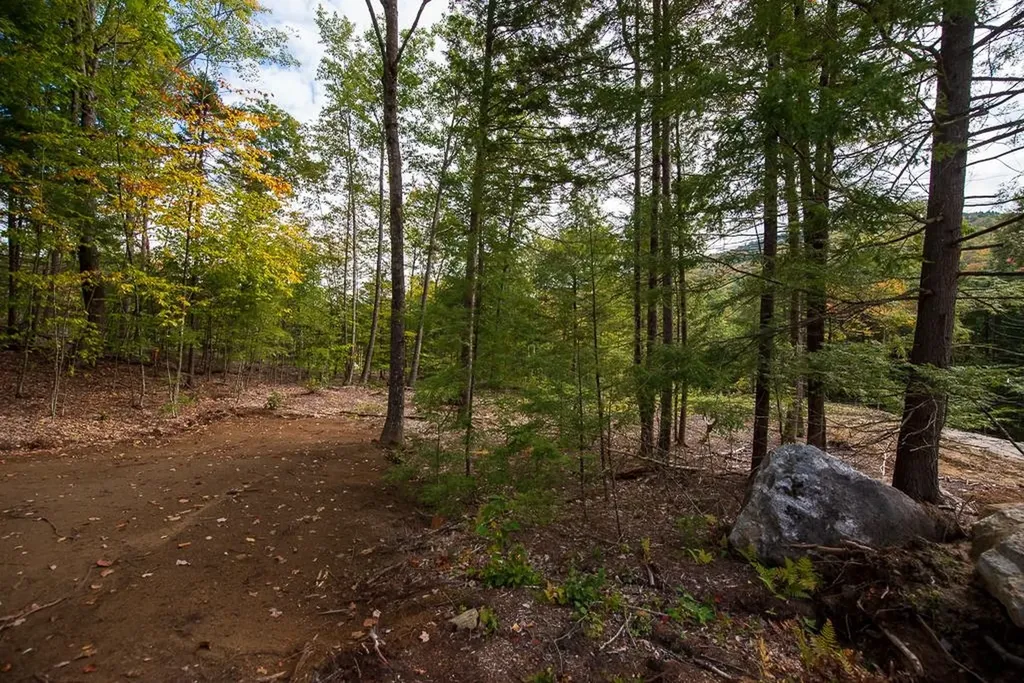 15-12-10-04 Jacob Hall Farm Road Rumney NH 03266