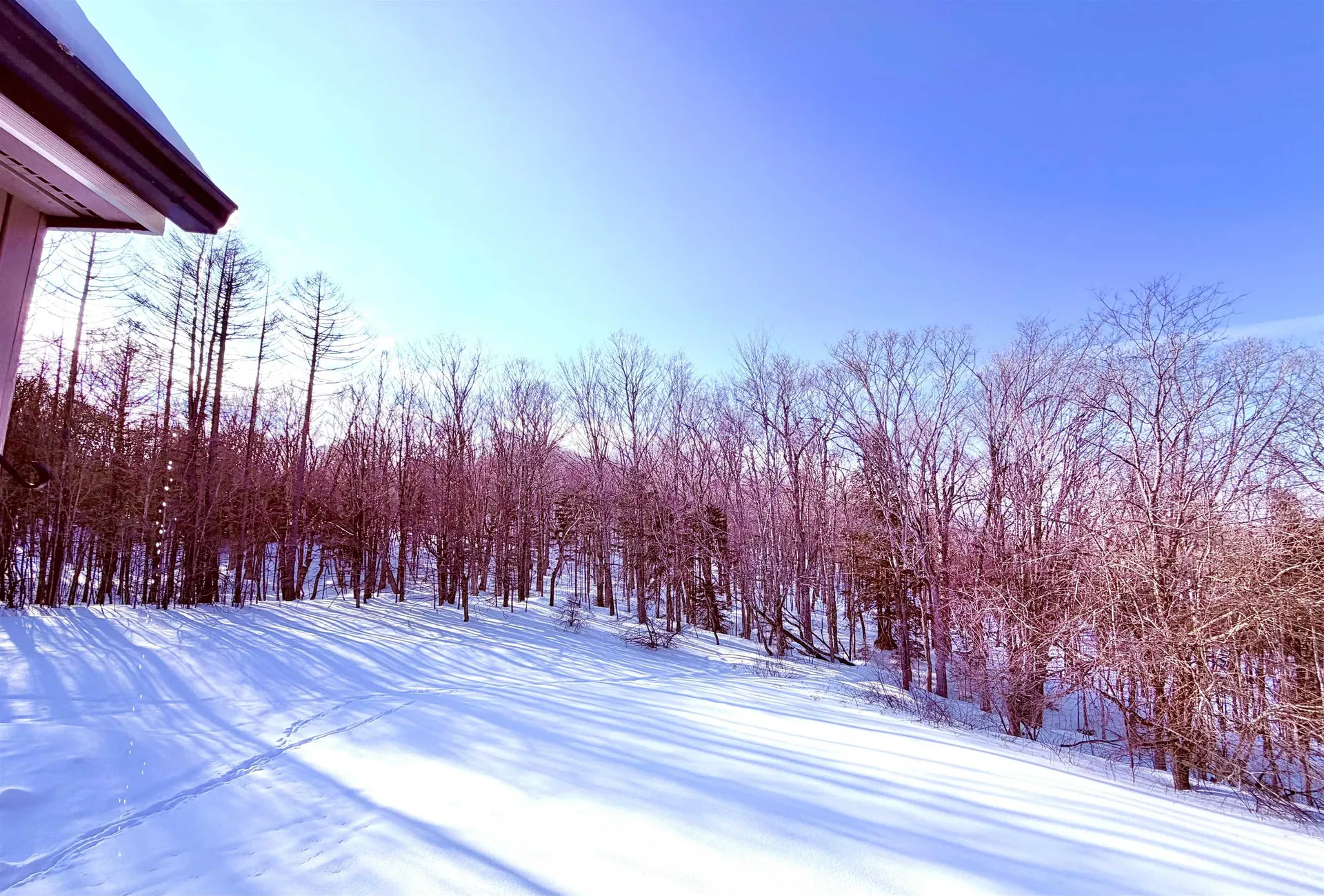 28E Crosstown Road Dover VT 05356