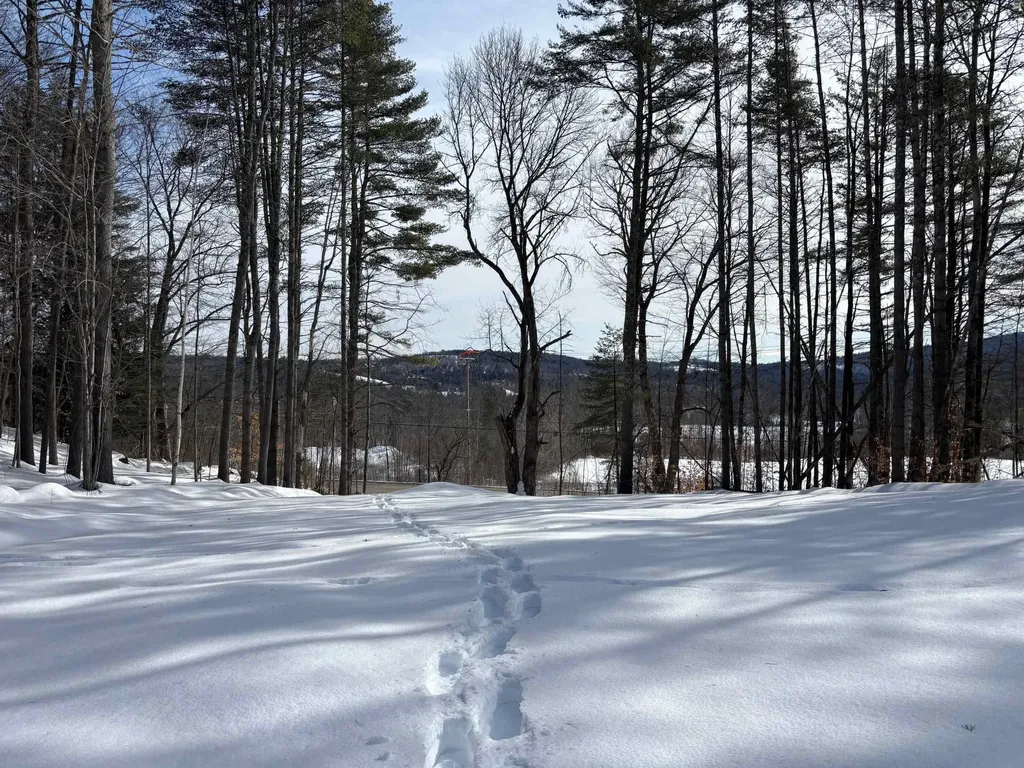 00 Lower Waterford Road Waterford VT 05848