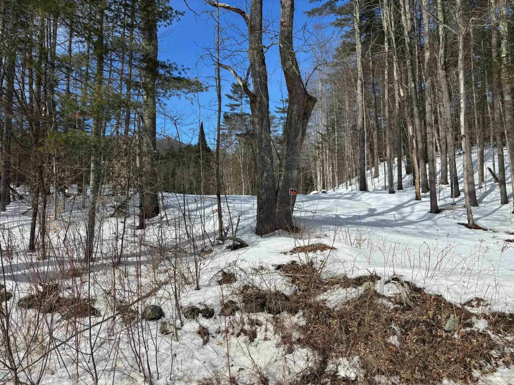 00 Lower Waterford Road Waterford VT 05848