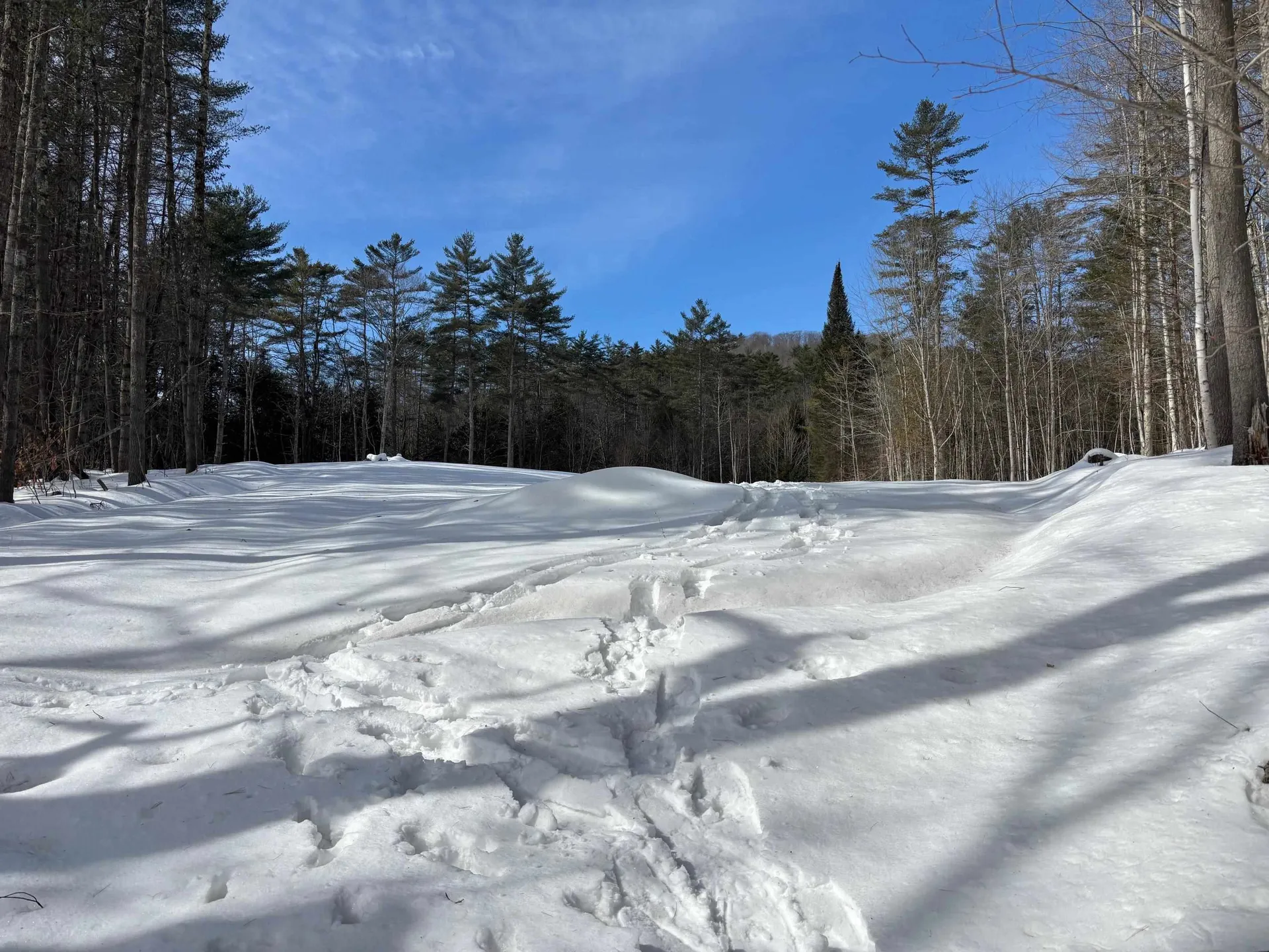 00 Lower Waterford Road Waterford VT 05848