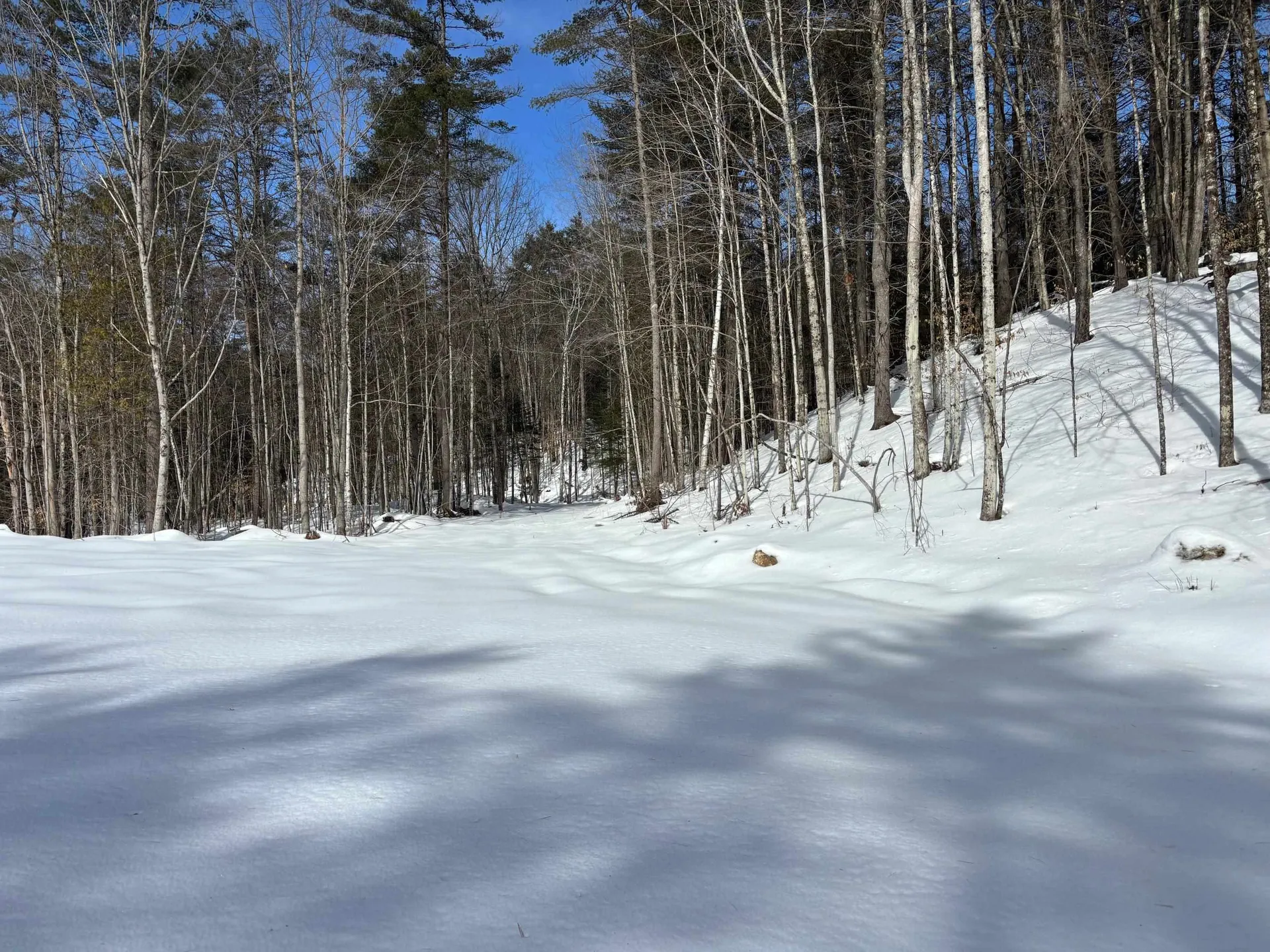 00 Lower Waterford Road Waterford VT 05848