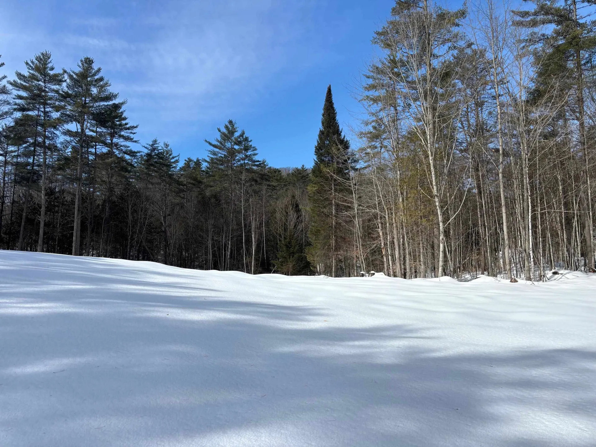 00 Lower Waterford Road Waterford VT 05848