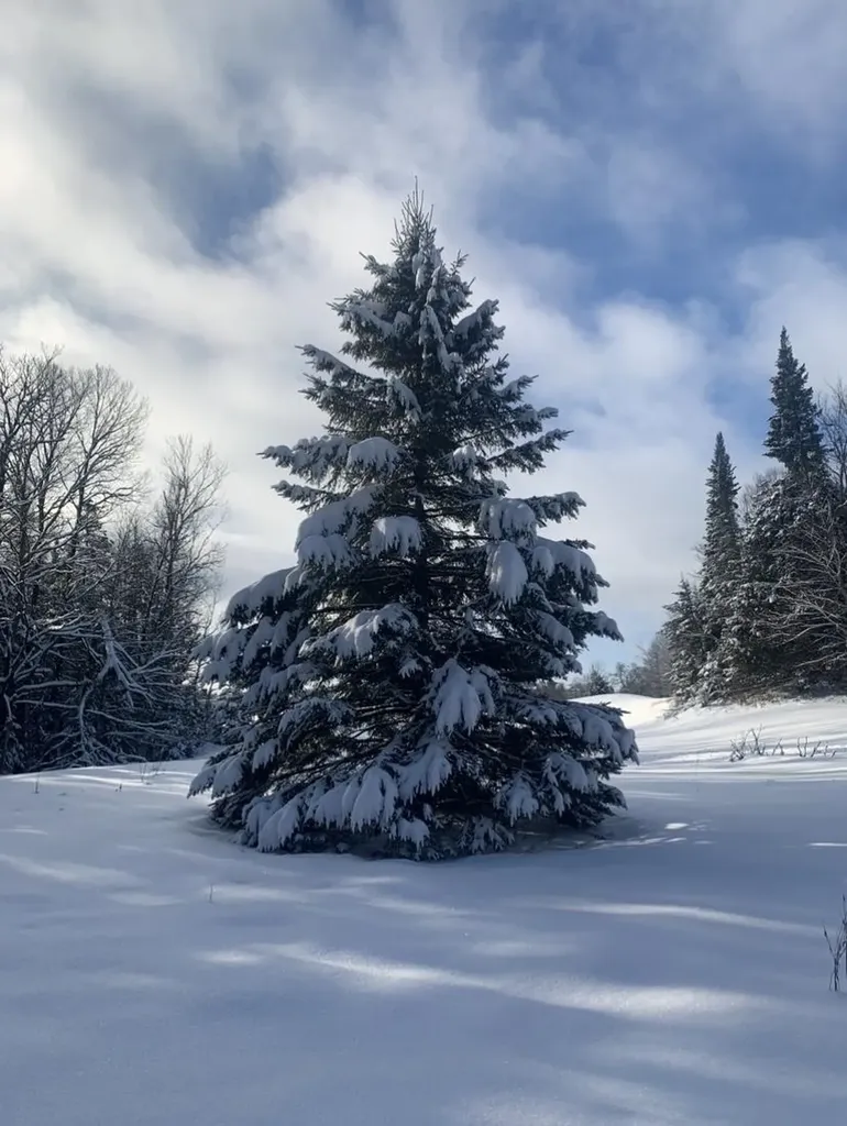 303 Town Highway 19 Craftsbury VT 05827