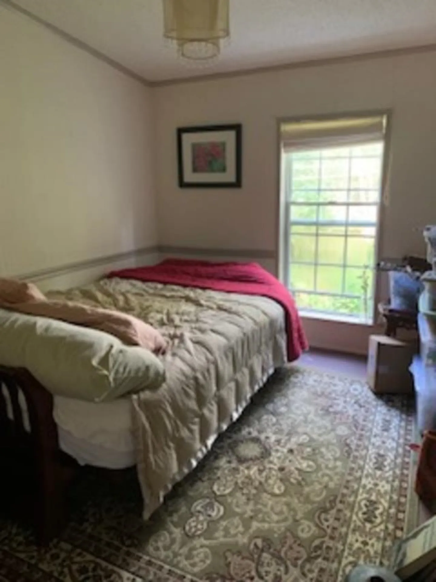 303 Town Highway 19 Craftsbury VT 05827