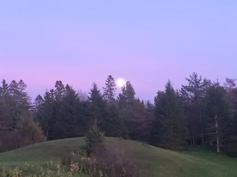 303 Town Highway 19 Craftsbury VT 05827