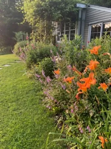 303 Town Highway 19 Craftsbury VT 05827