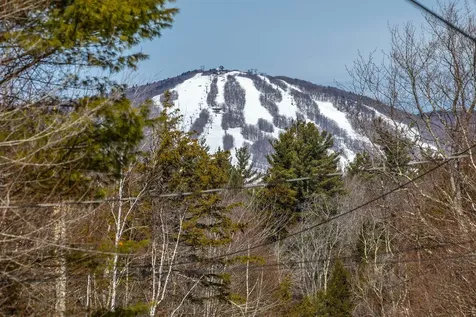 43 Beaver Street Winhall VT 05340