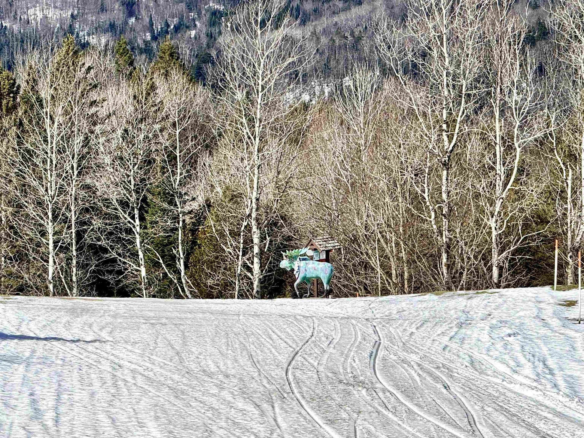 881 South Hill Road Stewartstown NH 03576