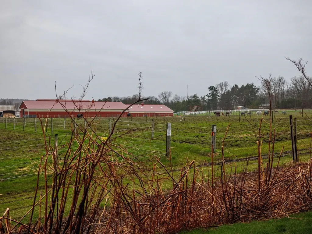 92 Quarry Hill Road South Burlington VT 05403