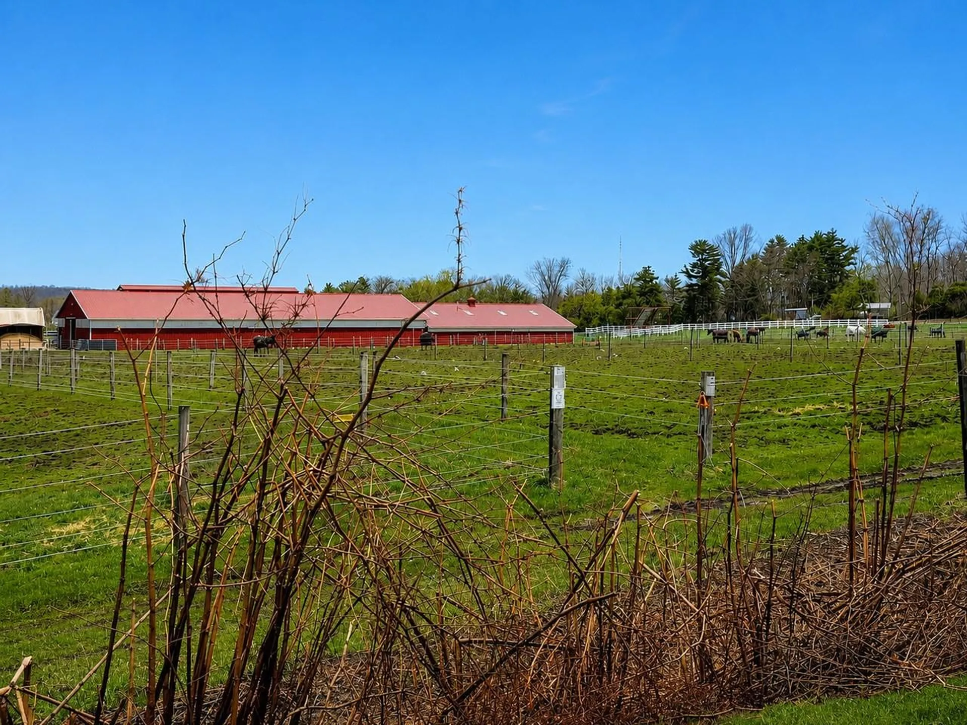 92 Quarry Hill Road South Burlington VT 05403