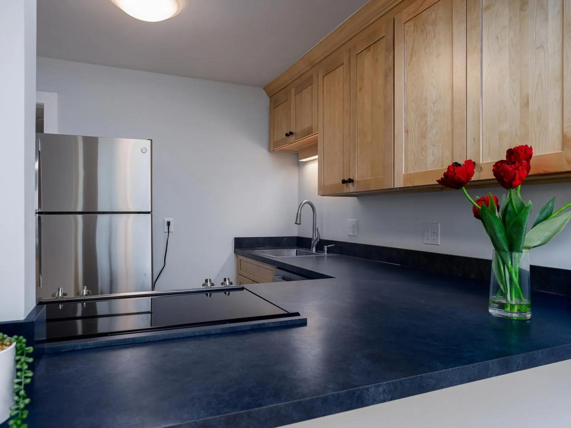 92 Quarry Hill Road South Burlington VT 05403