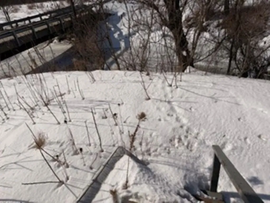 52 Welton Road Groton VT 05046