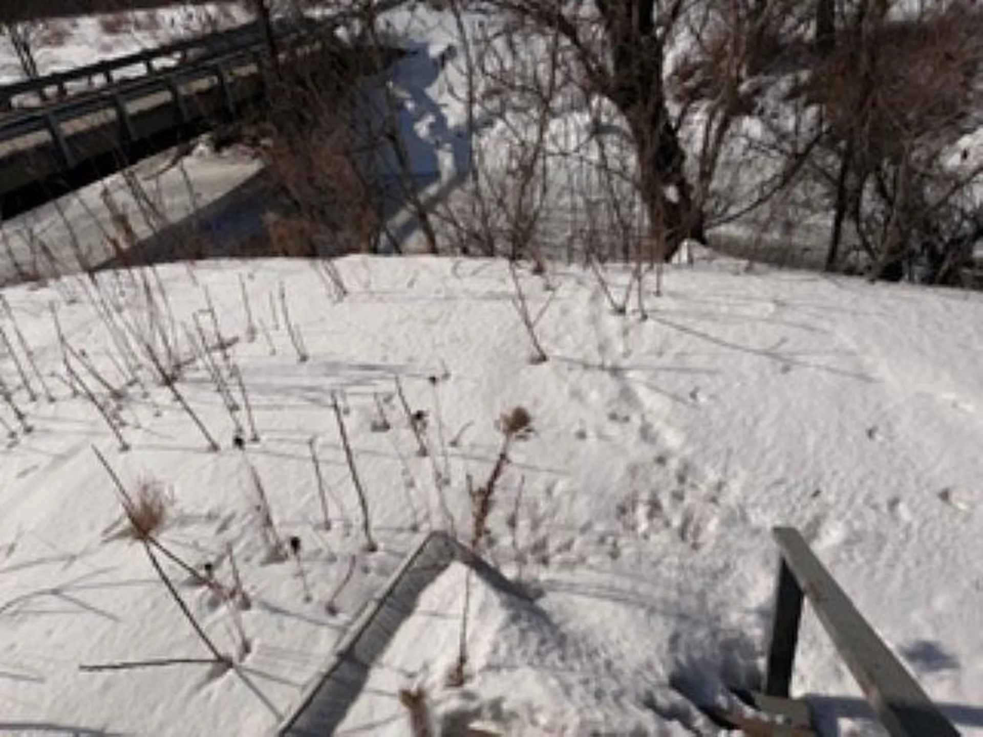52 Welton Road Groton VT 05046