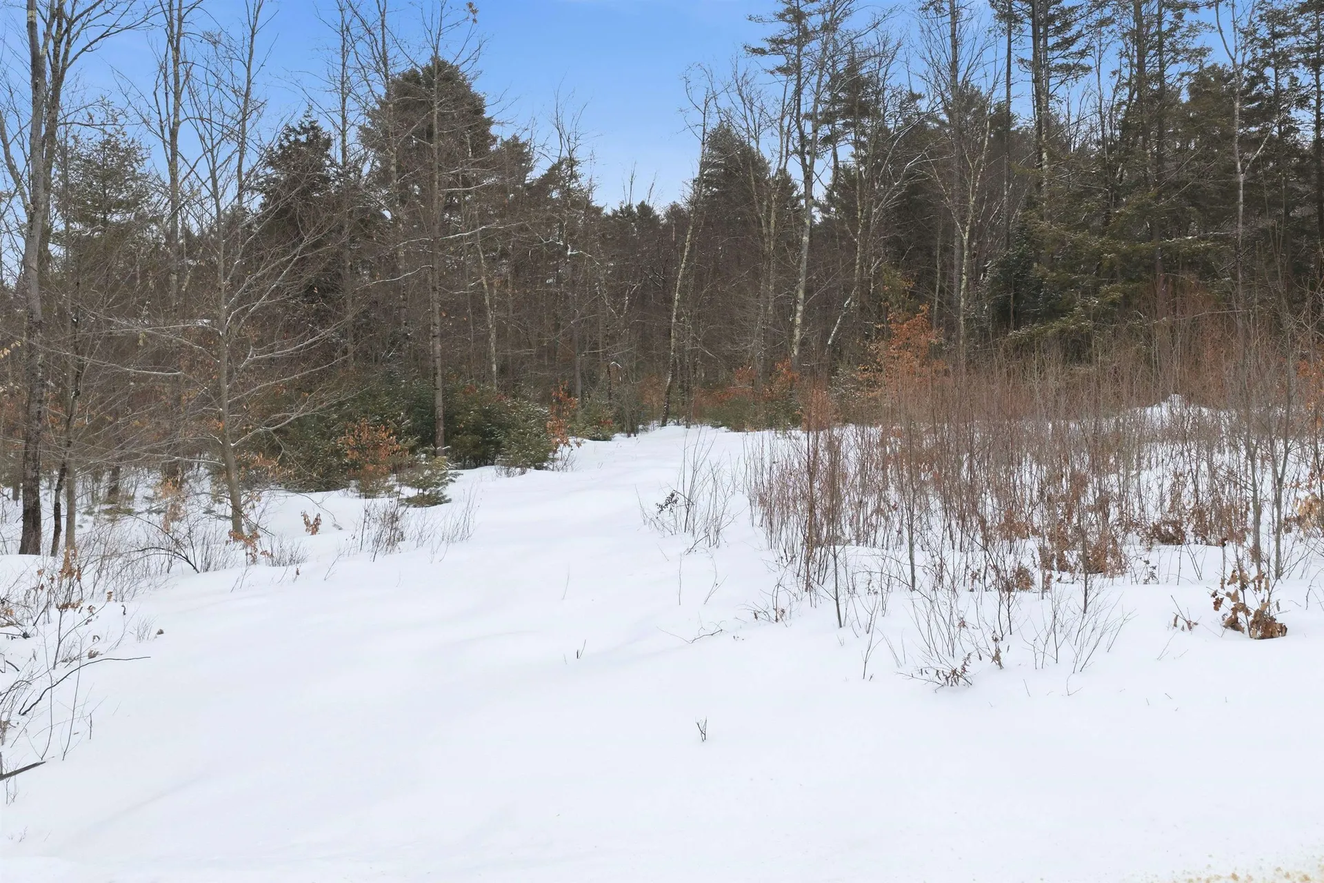 Ricker Road Loudon NH 03307