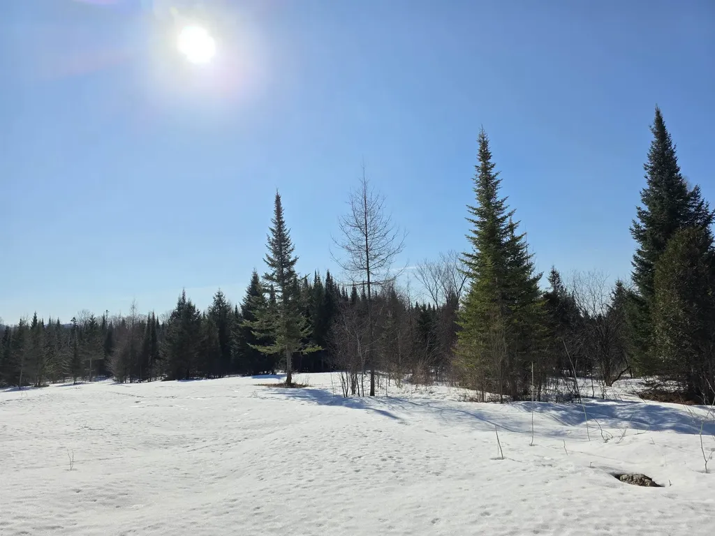 00 Old Coach Road Lyndon VT 05851