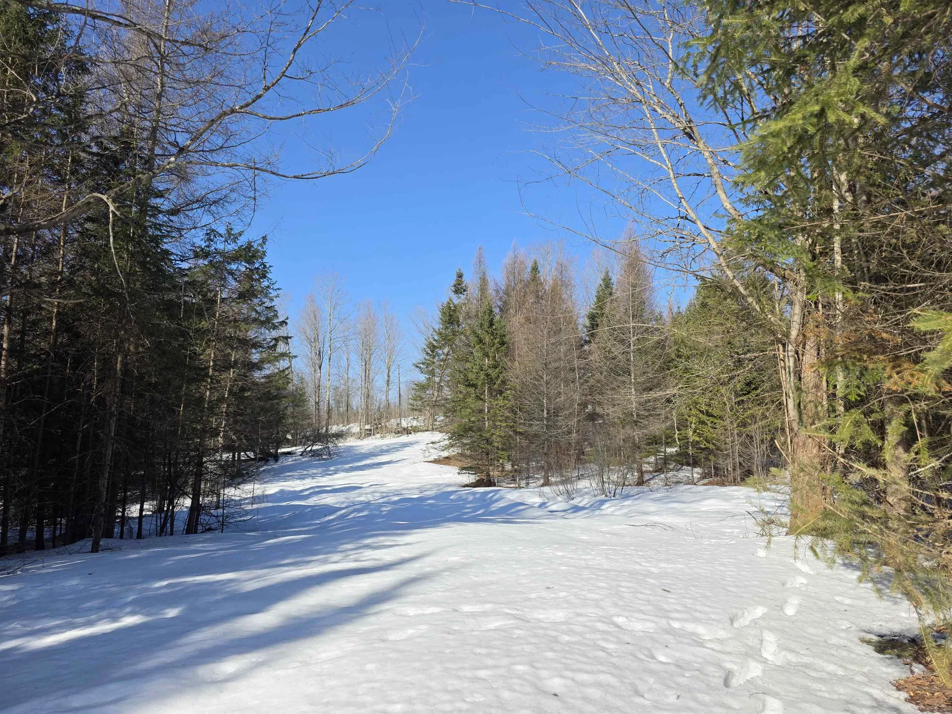 00 Old Coach Road Lyndon VT 05851