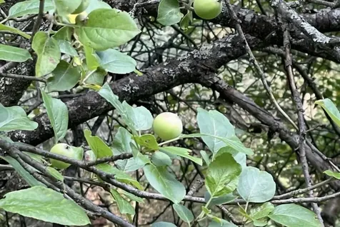 00 Old Coach Road Lyndon VT 05851