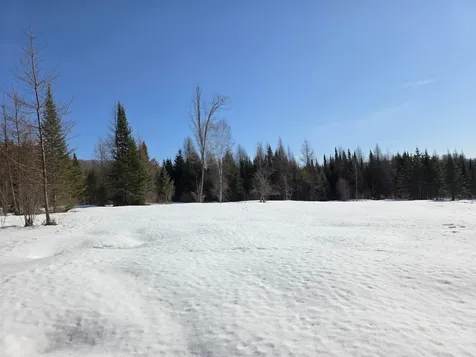 00 Old Coach Road Lyndon VT 05851