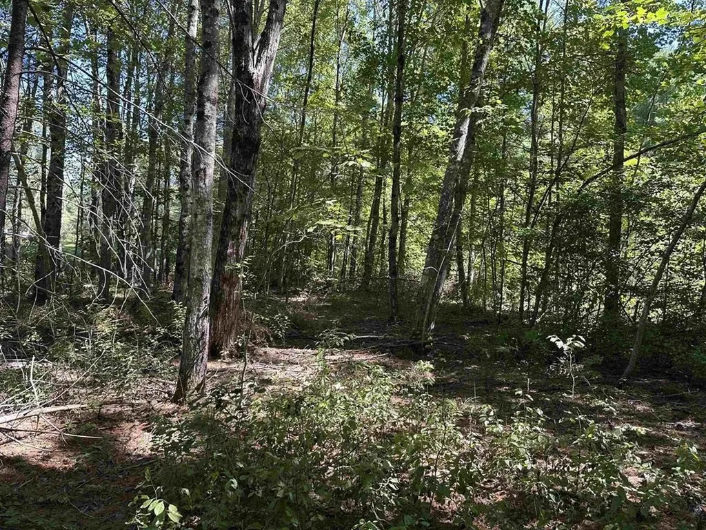 12 Baxter Place Alton NH 03809