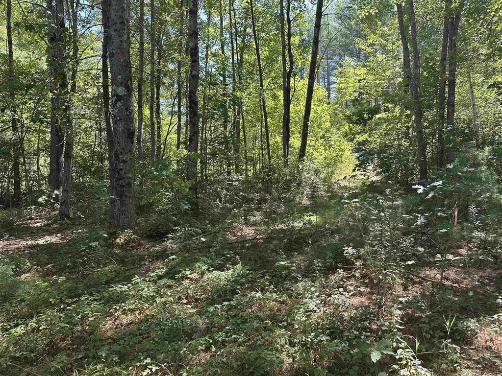 12 Baxter Place Alton NH 03809