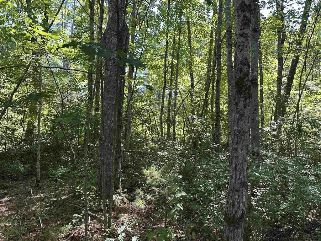 12 Baxter Place Alton NH 03809