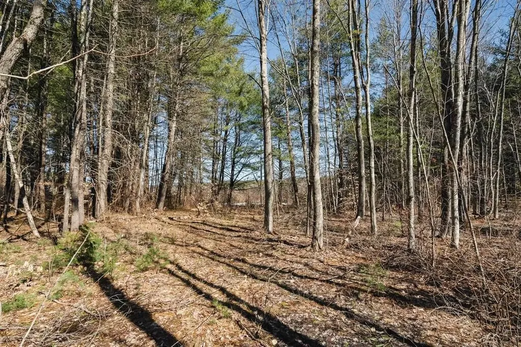 12 Baxter Place Alton NH 03809