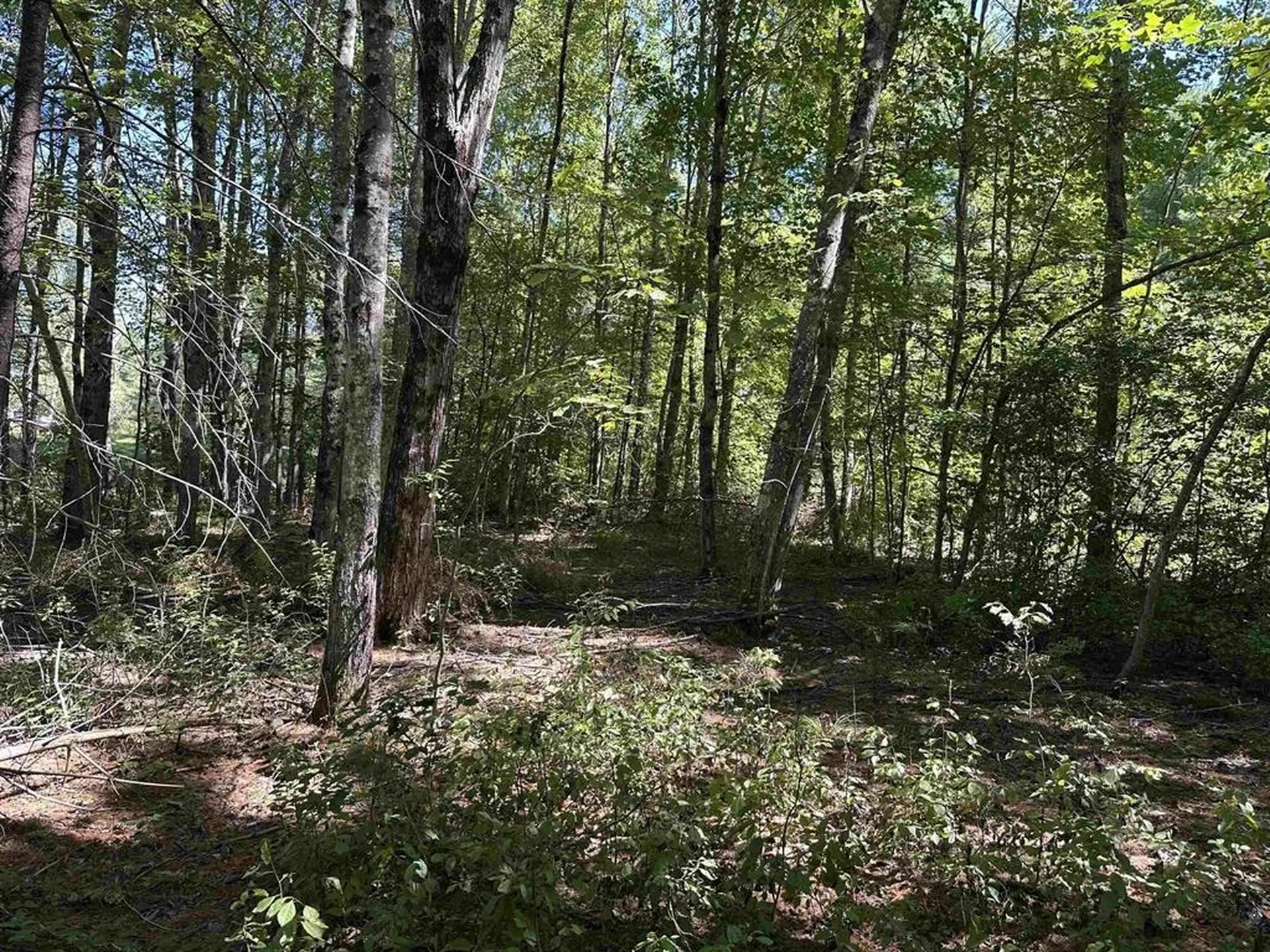 12 Baxter Place Alton NH 03809