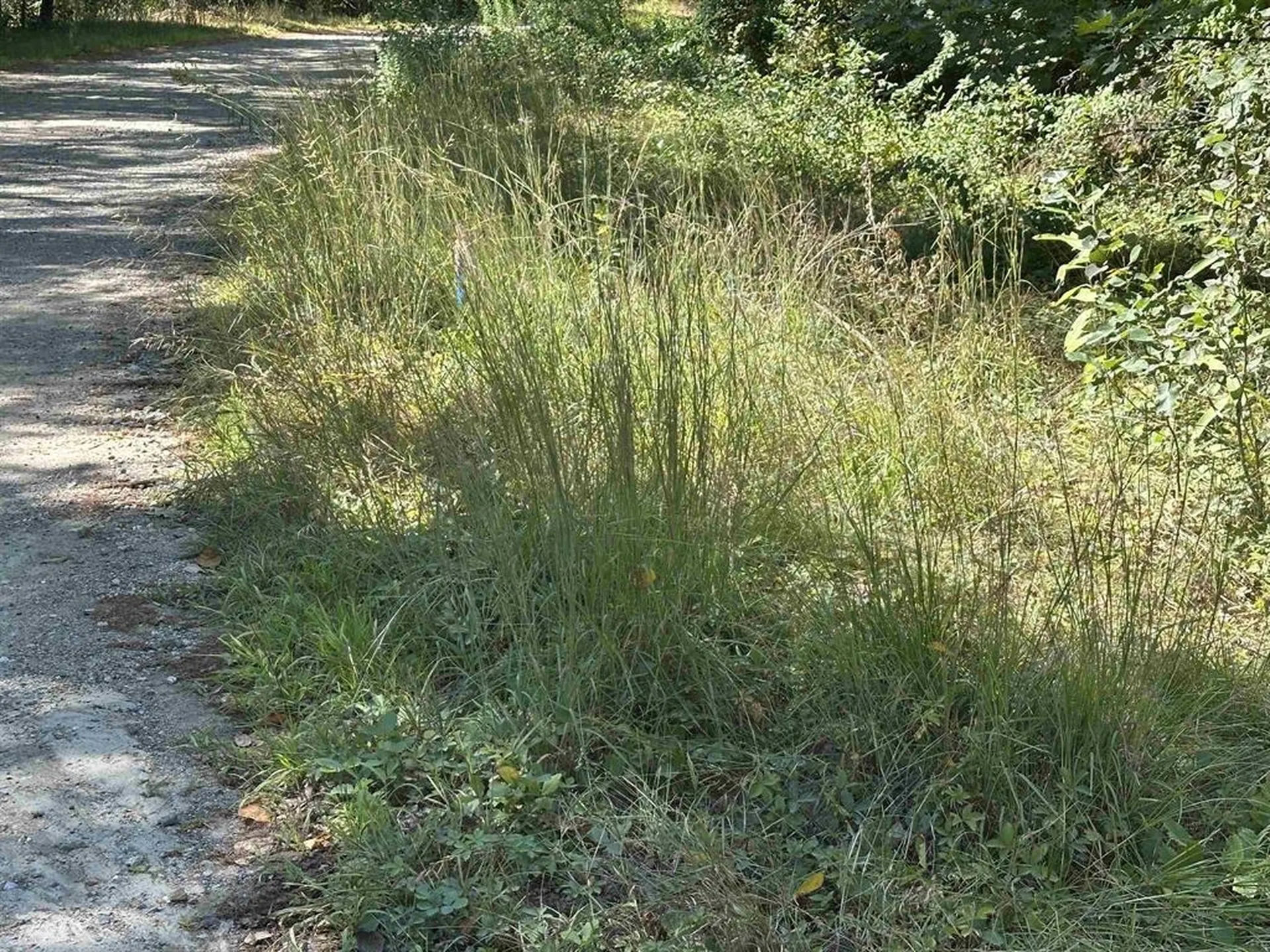 12 Baxter Place Alton NH 03809