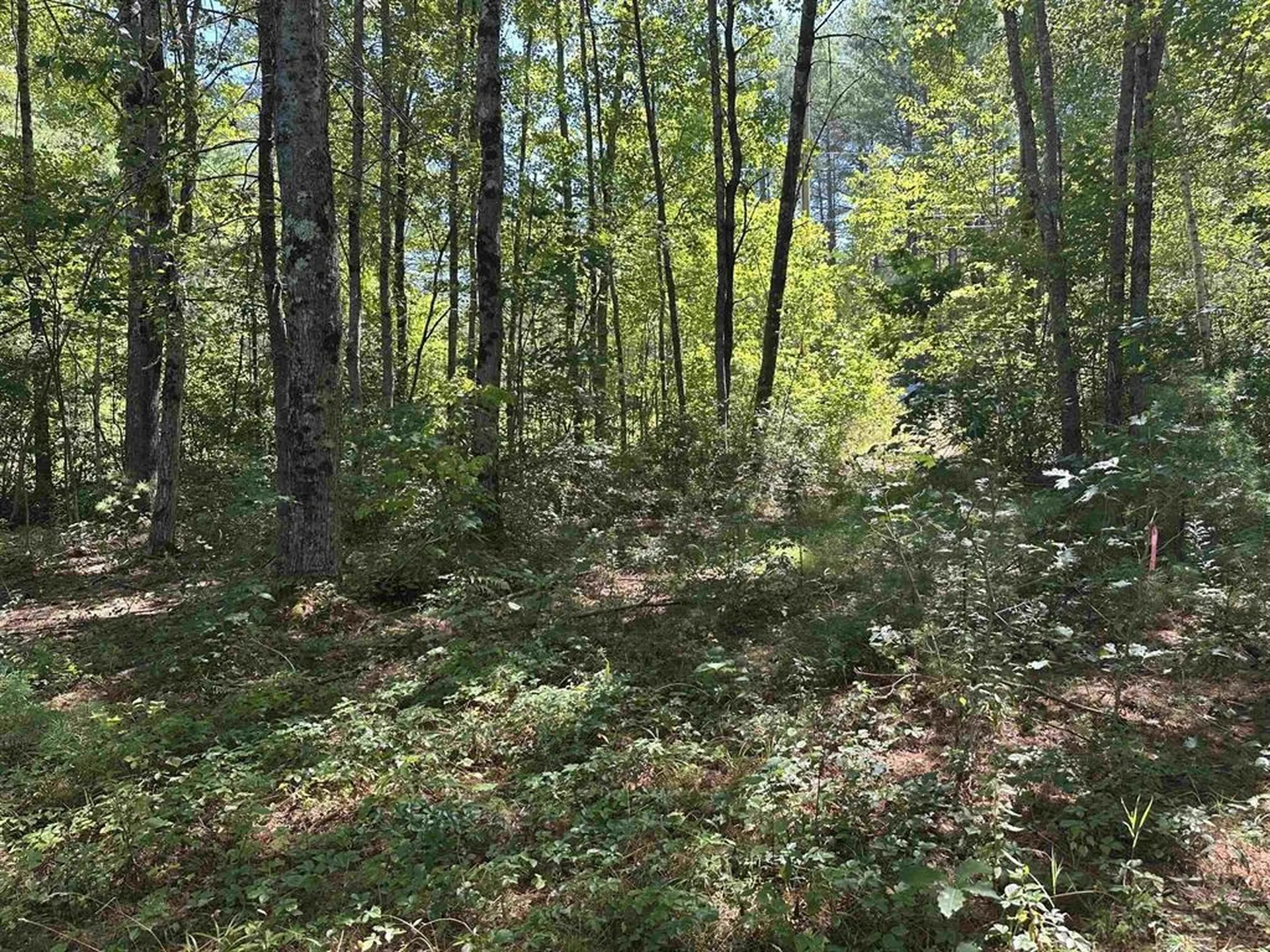 12 Baxter Place Alton NH 03809