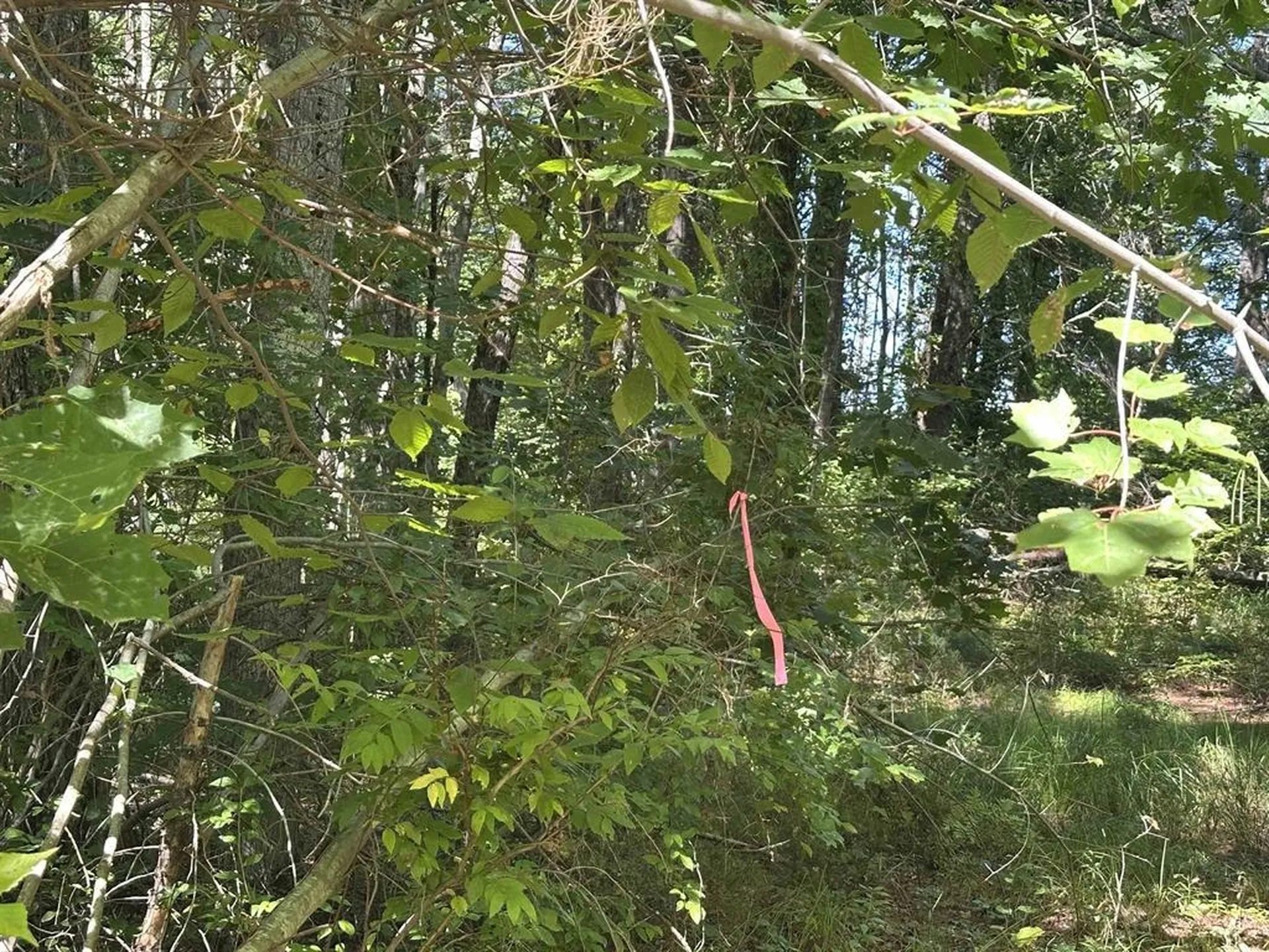 12 Baxter Place Alton NH 03809