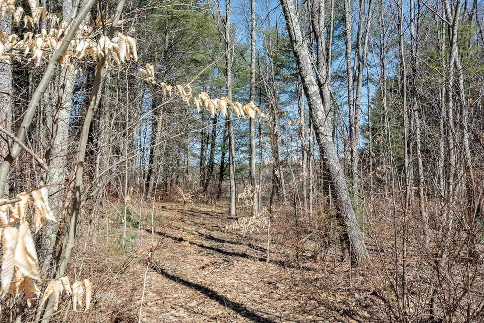 12 Baxter Place Alton NH 03809