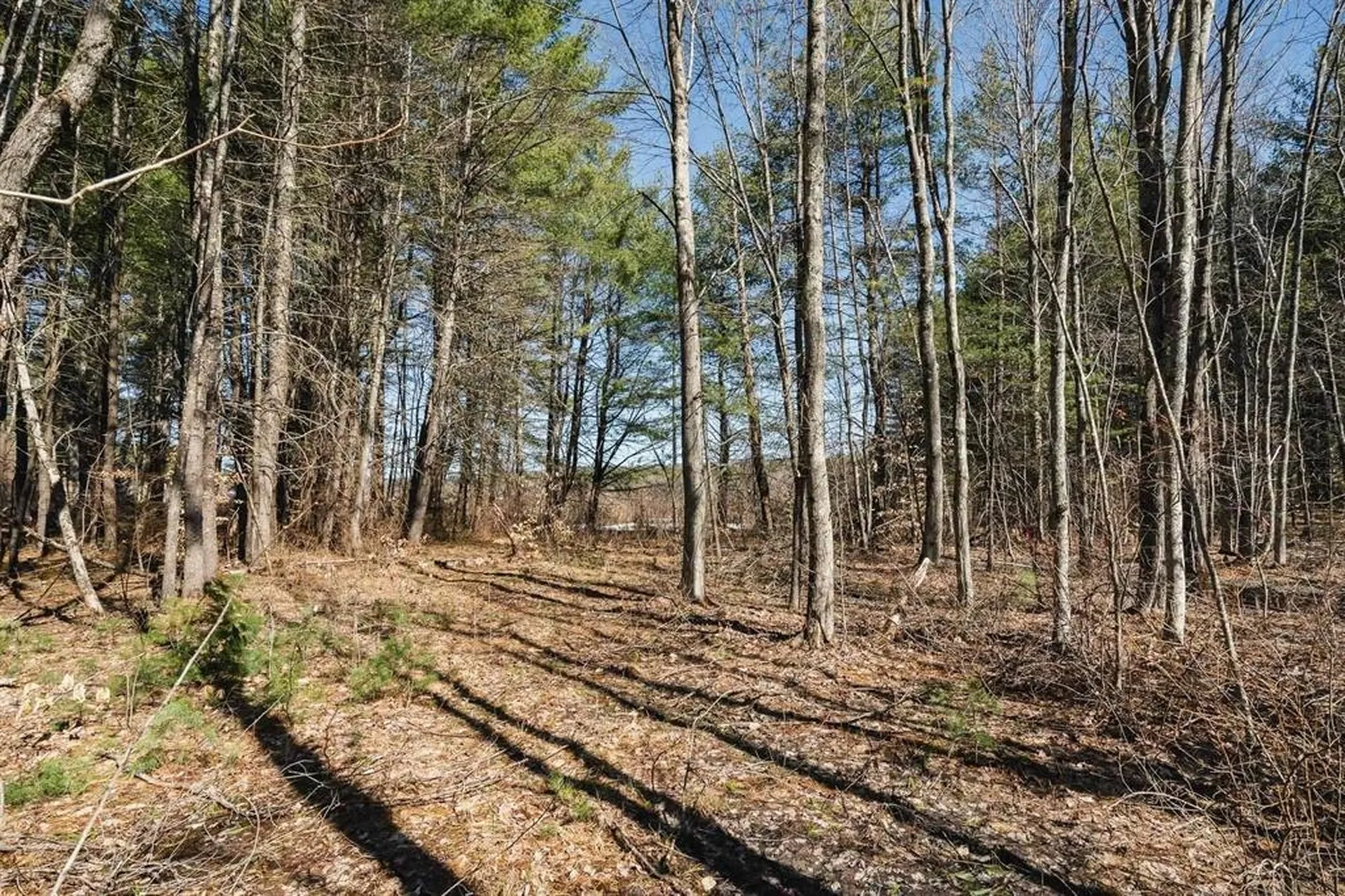 12 Baxter Place Alton NH 03809