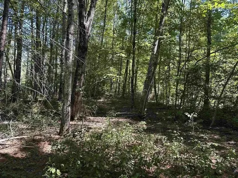 12 Baxter Place Alton NH 03809