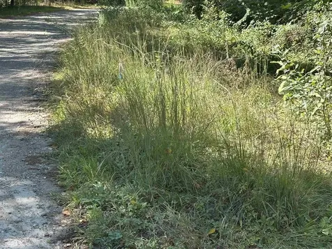 12 Baxter Place Alton NH 03809