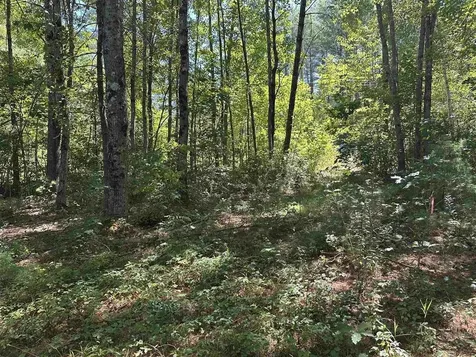 12 Baxter Place Alton NH 03809