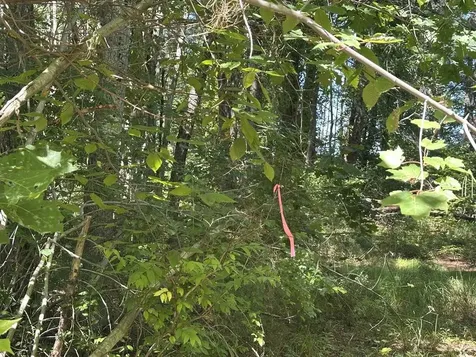 12 Baxter Place Alton NH 03809