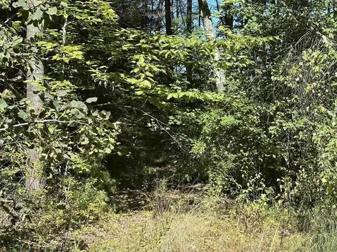 12 Baxter Place Alton NH 03809