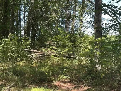 12 Baxter Place Alton NH 03809