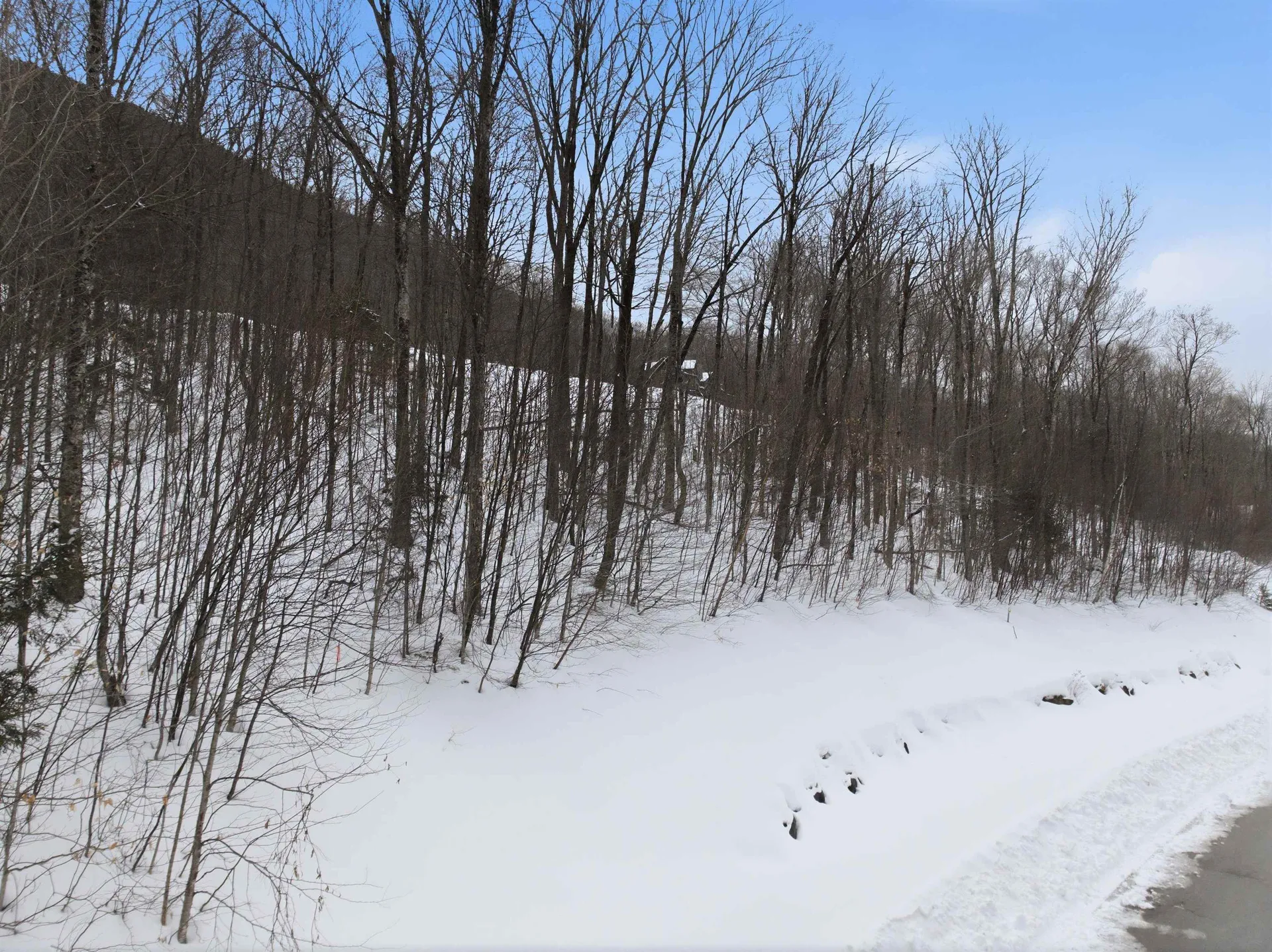 8 Buck Road Lincoln NH 03251