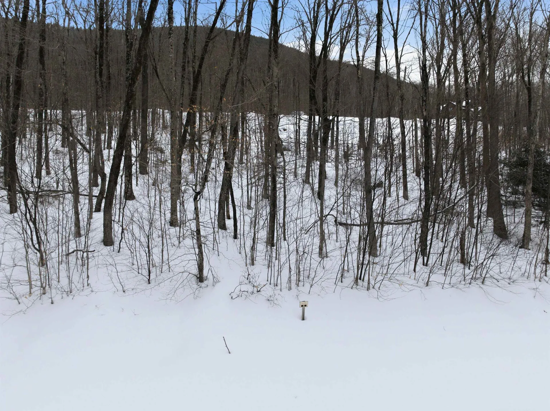 8 Buck Road Lincoln NH 03251