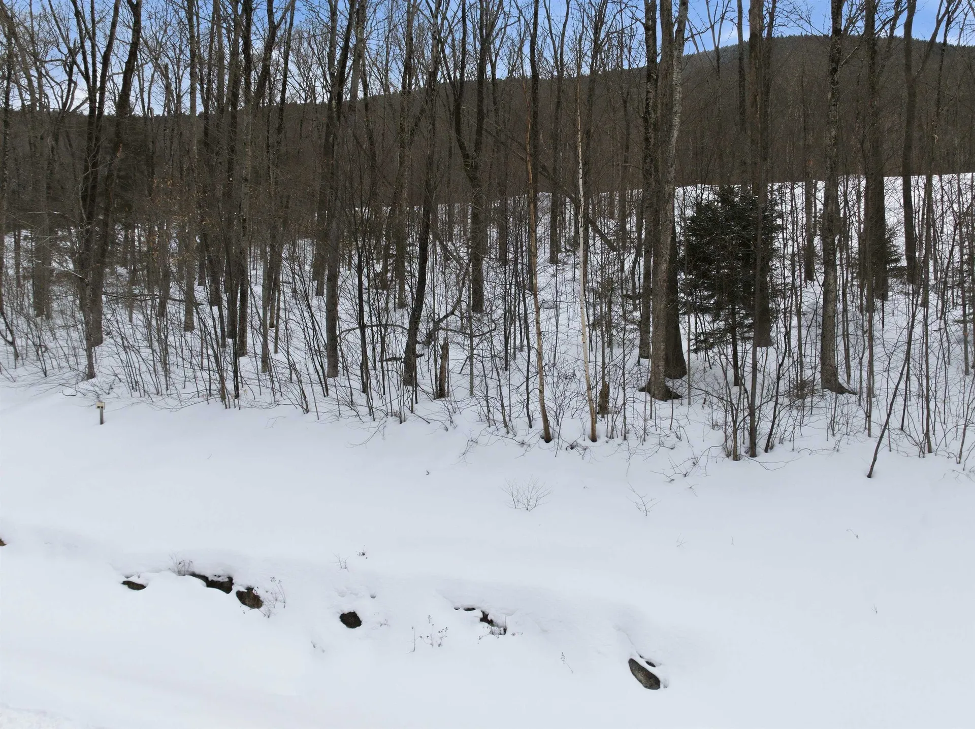 8 Buck Road Lincoln NH 03251