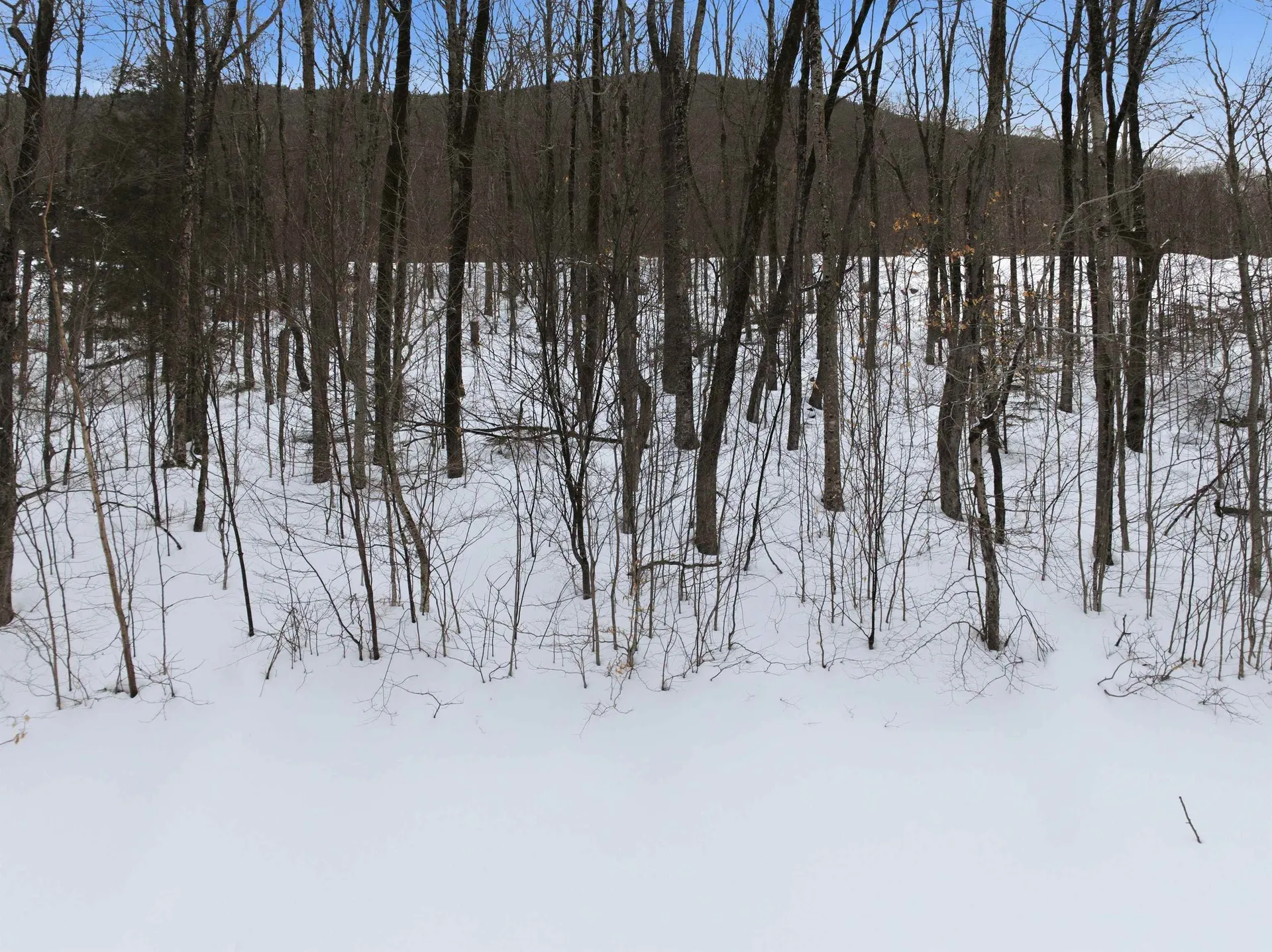 8 Buck Road Lincoln NH 03251