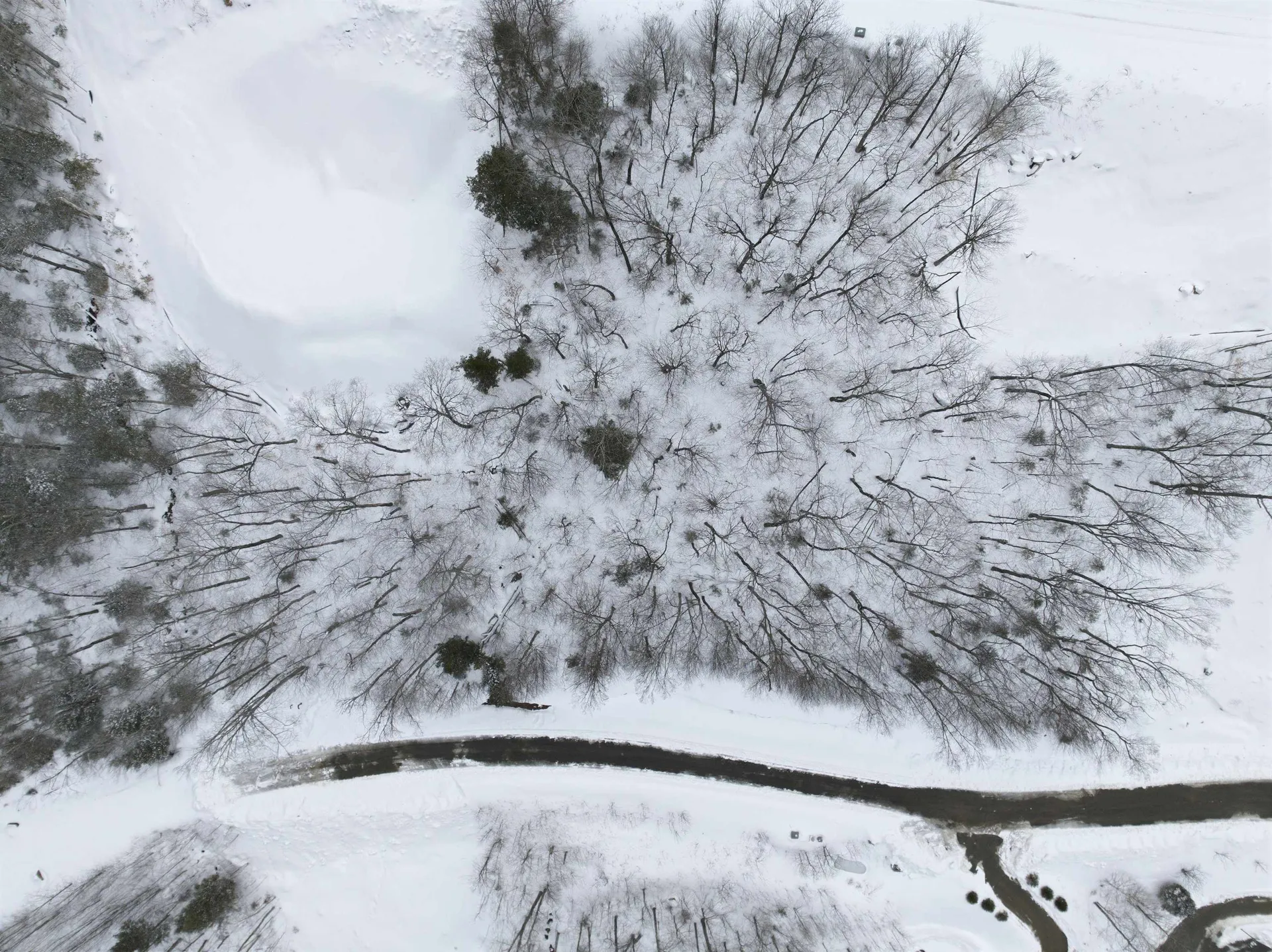 8 Buck Road Lincoln NH 03251