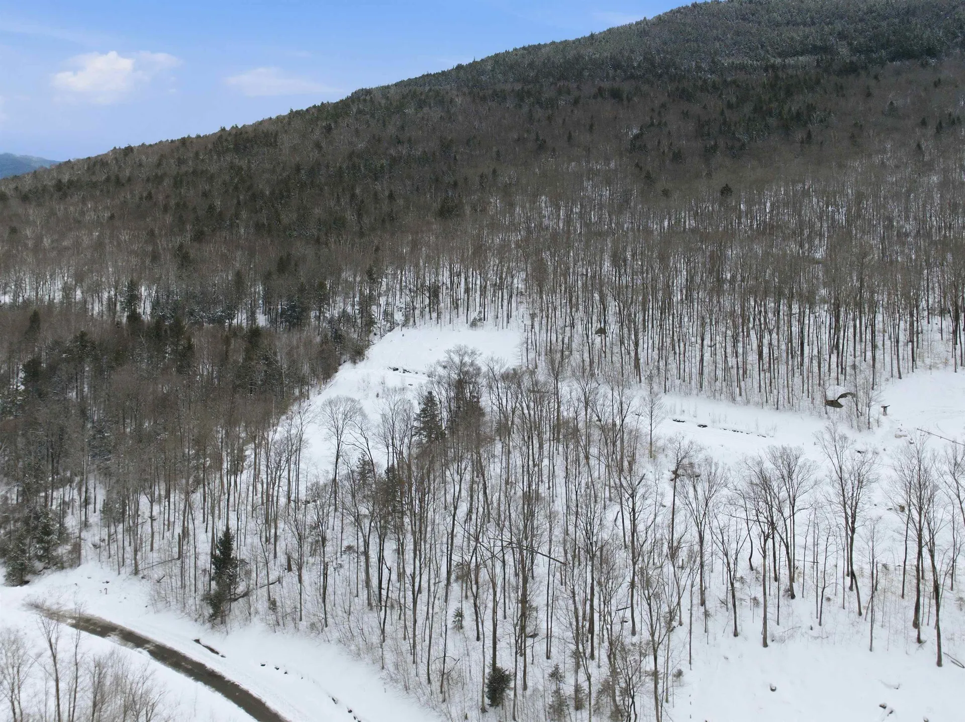 8 Buck Road Lincoln NH 03251