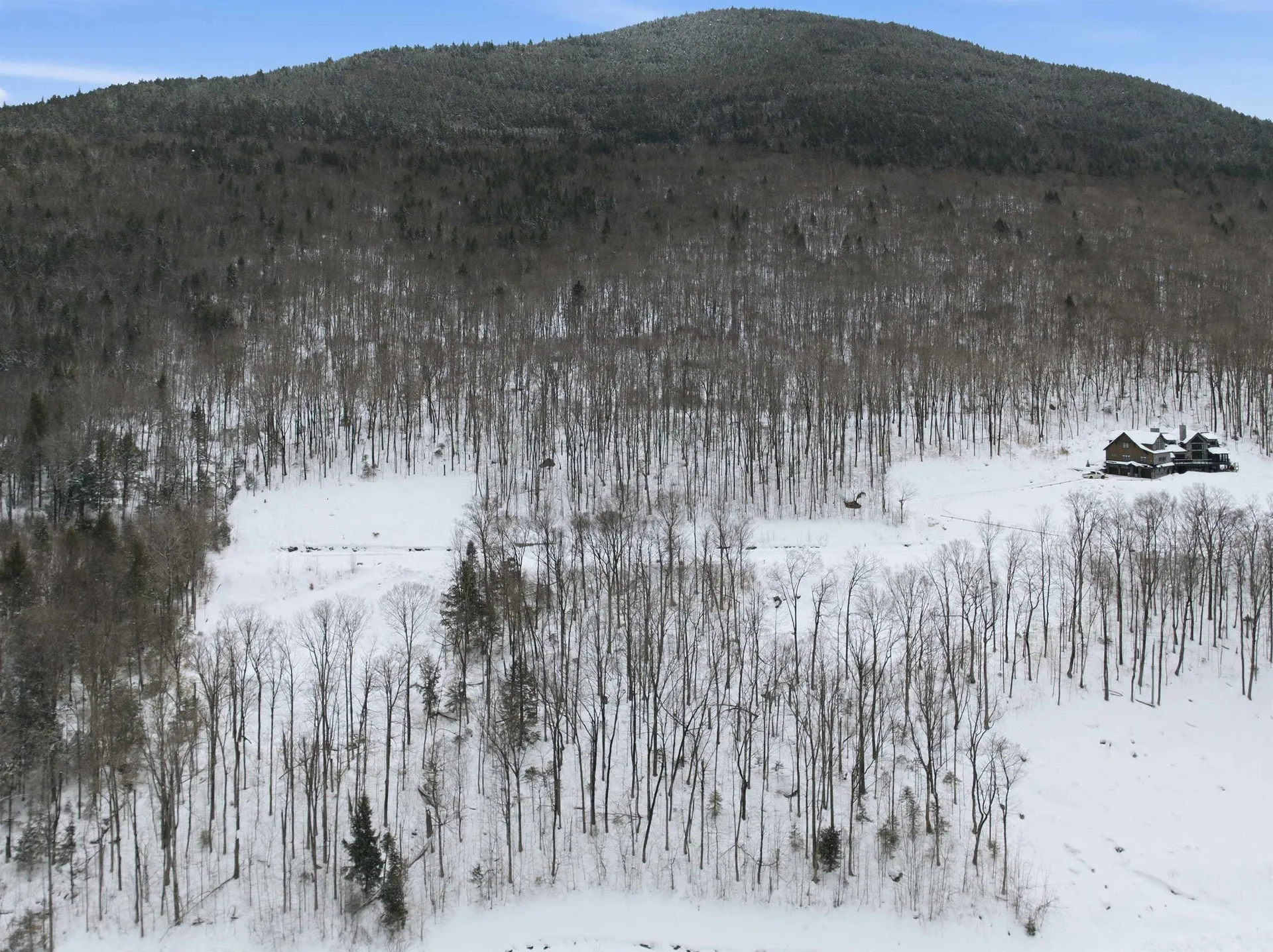 8 Buck Road Lincoln NH 03251